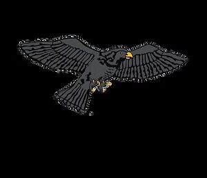 Blackhawk Lodge Spring Conclave